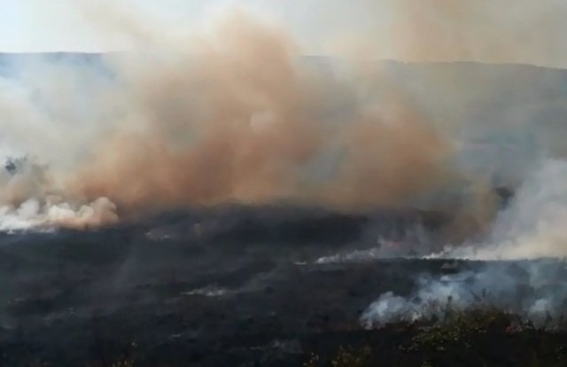 Pompierii în alertă! Zeci de hectare de vegetație distruse de mai multe incendii - FOTO