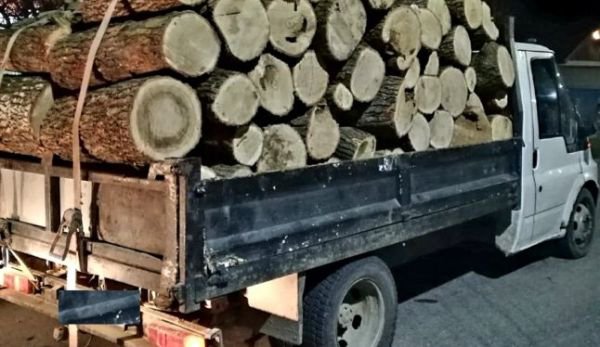 Un dorohoian transporta ilegal lemn! A rămas şi fără bani şi fără „marfă”
