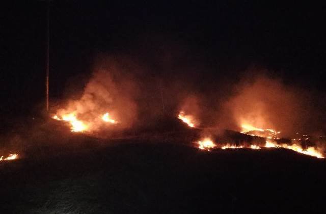 Incendiu în județul Botoșani! Vegetație uscată mistuită de flăcări - FOTO