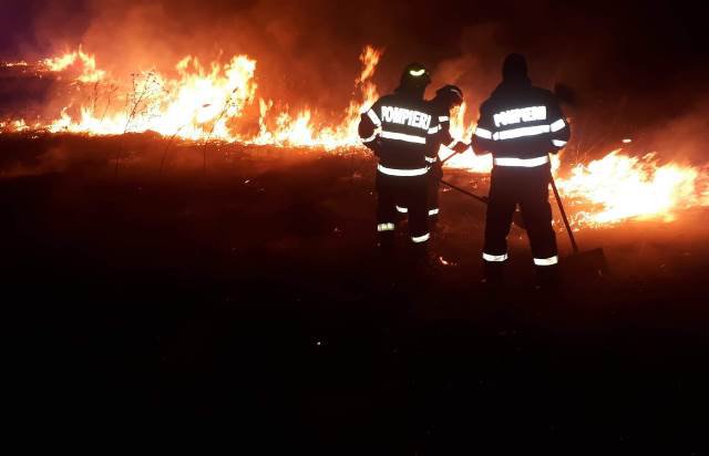 Trei incendii de vegetație uscată izbucnite joi seară la Botoșani