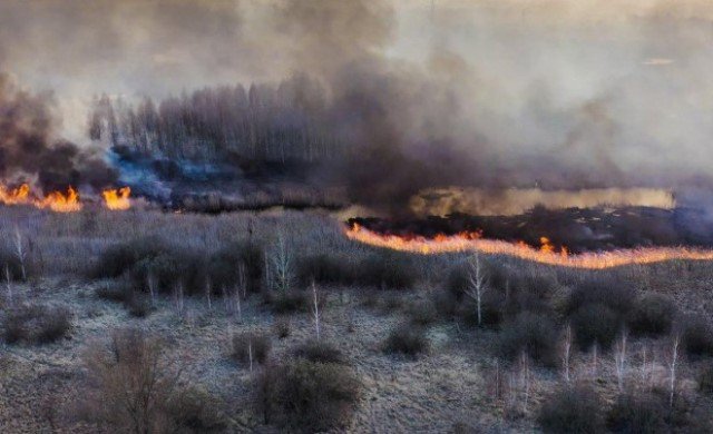 Incendiu în zona radioactivă de la Cernobîl! ANM: Norul de fum nu va ajunge în România