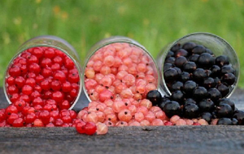 Fructele dulci-acrisoare care combat virusul herpesului dar și durerile musculare