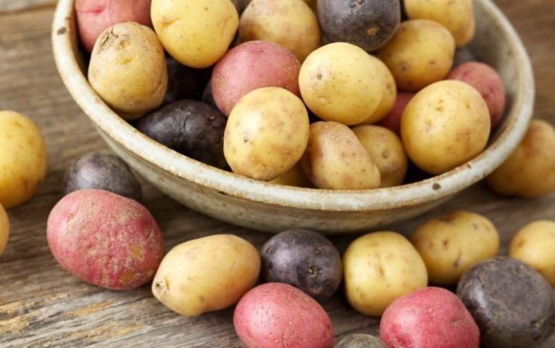 Cum se păstrează cartofii pentru a nu deveni toxici
