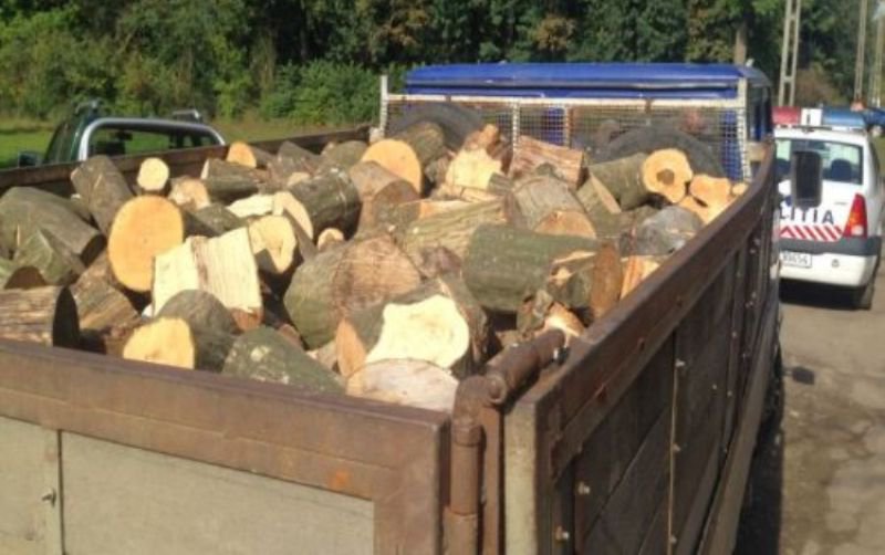 Amendă de 3000 de lei și material lemnos confiscat