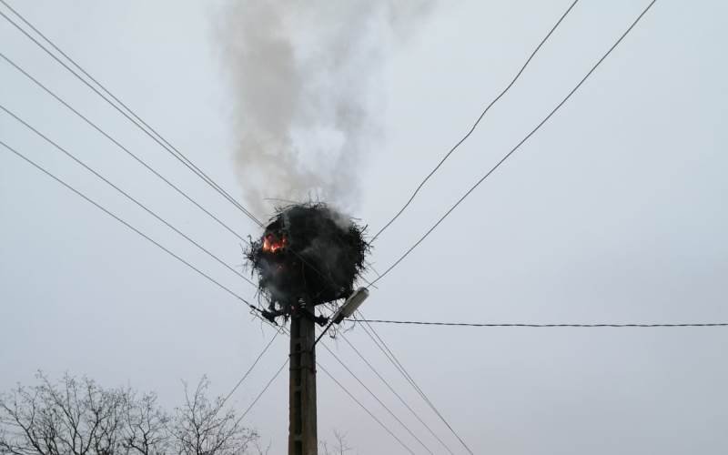 Un cuib de berze a luat foc într-o comună din Botoșani. Au intervenit pompierii