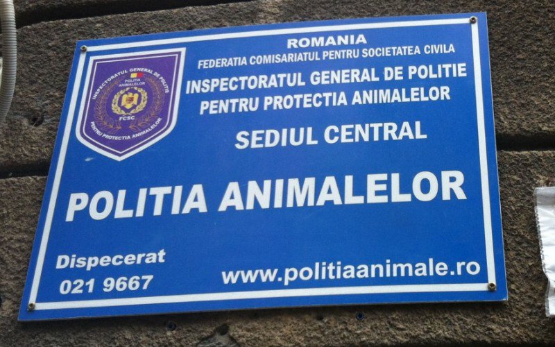 Start la angajări în Poliția Animalelor. 264 de posturi scoase la concurs