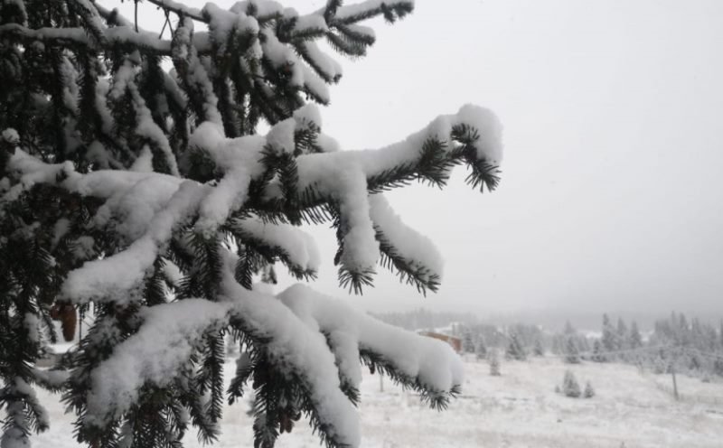 Vin ninsorile în România de Bobotează! Ce zone sunt vizate de zăpadă