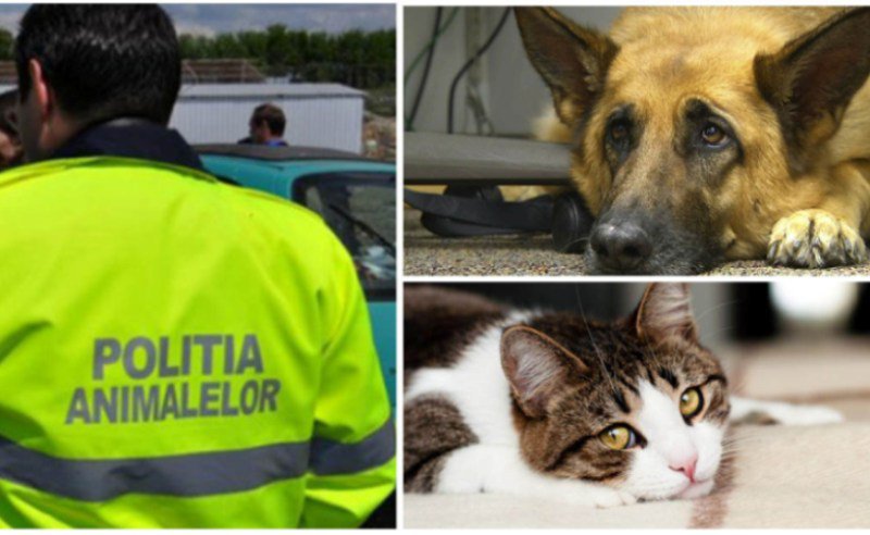 Ce atribuții au polițiștii din cadrul Poliției pentru Protecția Animalelor