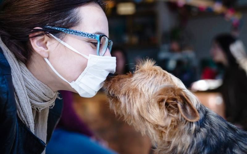 Studiu: Un nou tip de coronavirus apărut la câini se transmite și la oameni