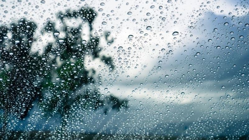 COD PORTOCALIU de ploi pentru județul Botoșani