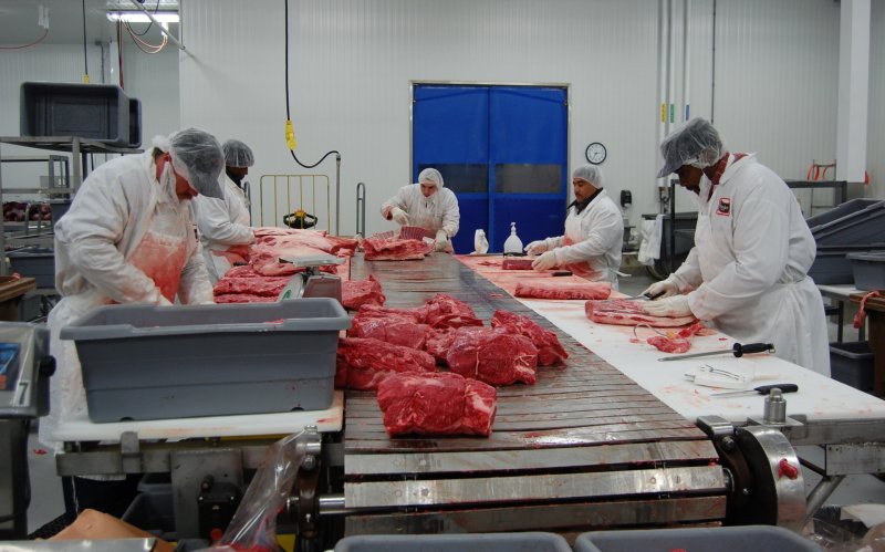 250 locuri de muncă vacante în ocupația „tăietor de carne și lucrător în producție” în GERMANIA