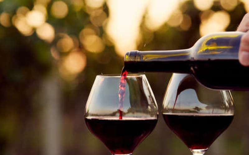 Vinul roşu, benefic pentru organism - Combate obezitatea