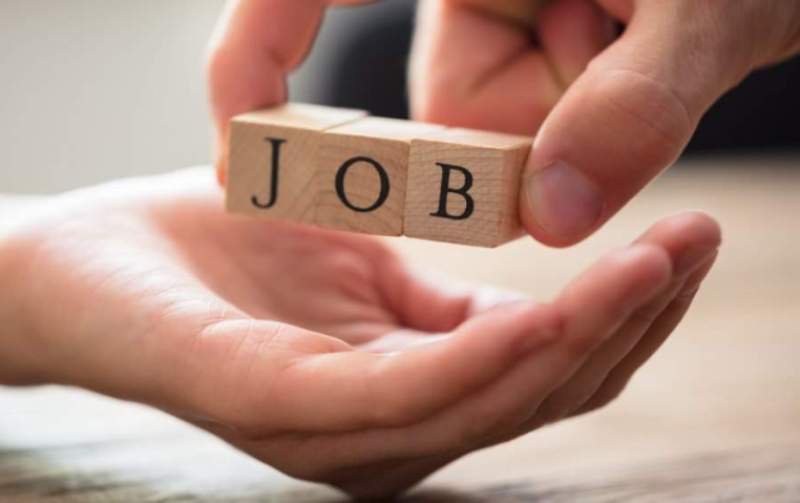 924 de locuri de muncă vacante, prin AJOFM, pe piața muncii din județul Botoșani