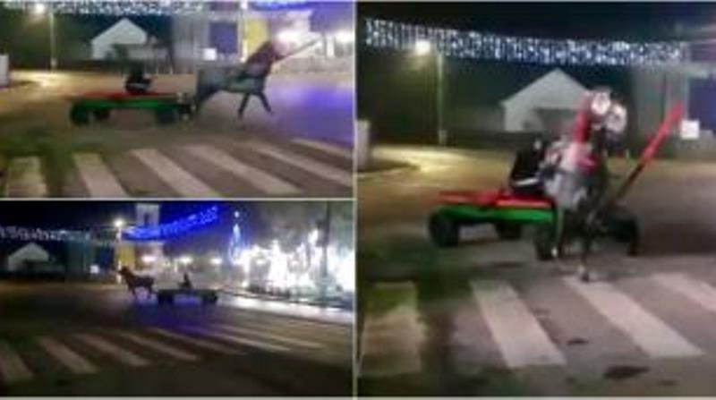 Tânăr sancționat de polițiști după ce a făcut drifturi cu căruța într-o intersecție din Ștefănești