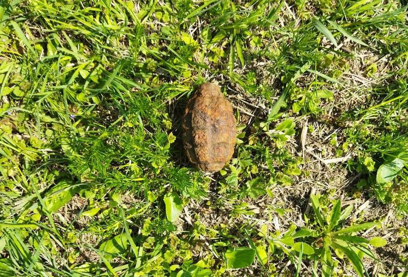 O grenadă de mână defensivă a fost găsită în gospodăria unui botoșănean