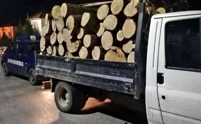 Transporturi ilegale de lemne depistate de polițiștii botoșăneni