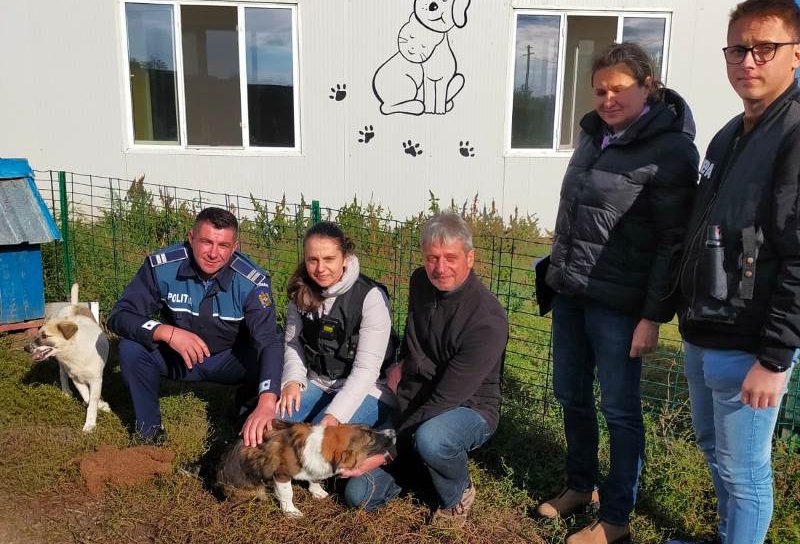 Acțiune a polițiștilor din cadrul Biroului pentru Protecția Animalelor Botoșani