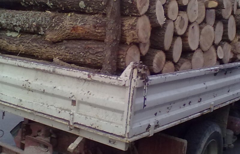 Un tânăr a fost sancționat de polițiști și a rămas fără lemnul pe care îl transporta