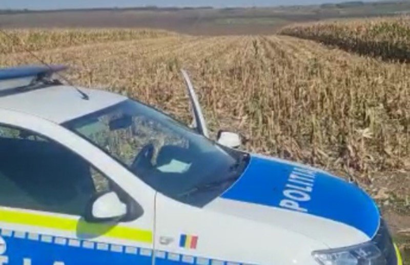 Incredibil! Un fermier din Corlăteni victima unui furt. Hoții au recoltat cu combina un lan de porumb