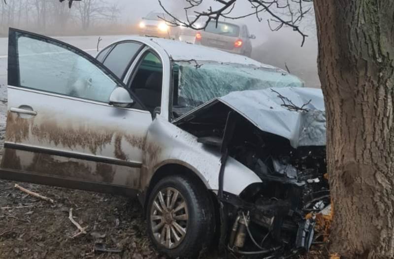 Accident la ieșirea din Botoșani! Un tânăr de 22 de ani s-a izbit cu mașina într-un copac - FOTO