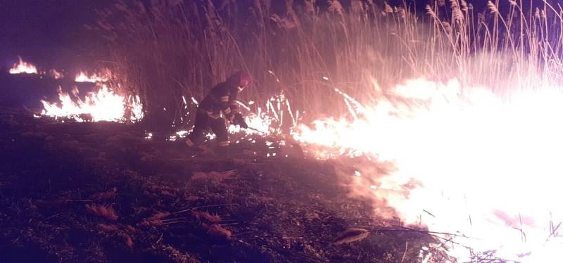 Incendiu la marginea localității Vlăsinești. Flăcările au mistuit un hectar de vegetație uscată și stuf - FOTO
