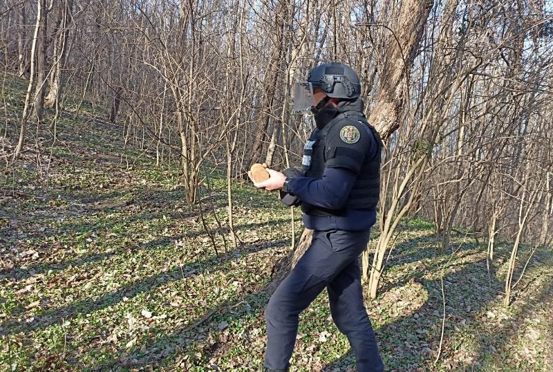 Element de muniție rămas neexplodat, descoperit de o femeie în pădurea Ipotești