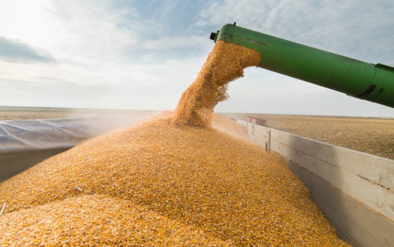 Slovacia spune STOP cerealelor din Ucraina „Vom informa România și Bulgaria”