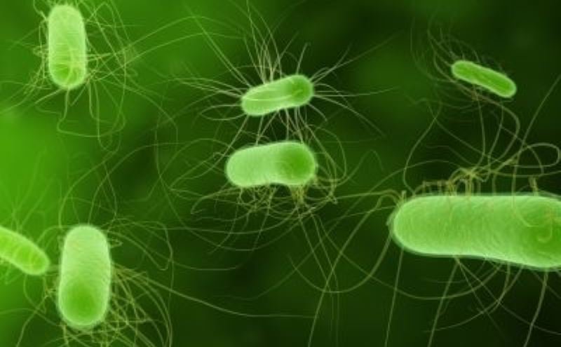 Bacteria letală care a început să se răspândească în întreaga lume alertează specialiștii