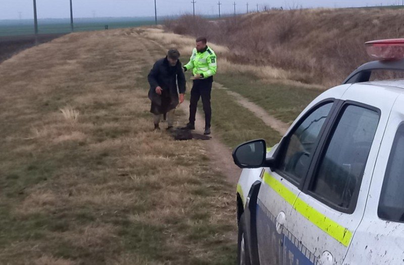 Bărbat rătăcit pe câmp, găsit de polițiștii din Dorohoi
