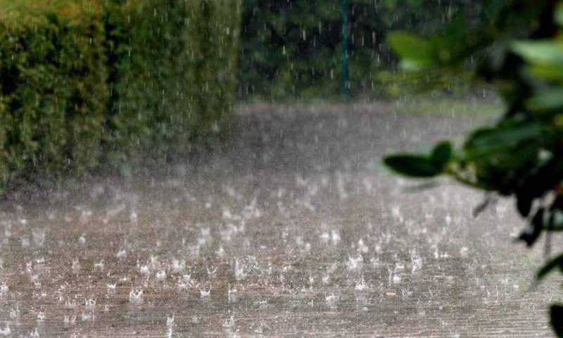 Cod Portocaliu de ploi pentru județul Botoșani
