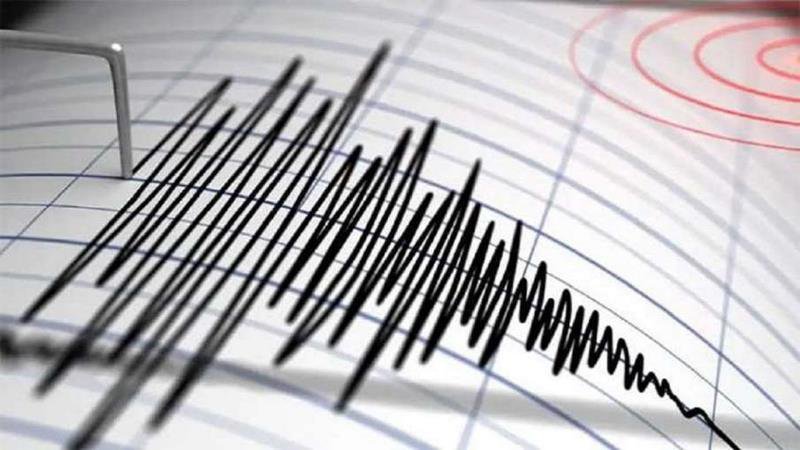 Cutremur în România. Seismul de 4,8 pe Richter a fost resimțit în mai multe orașe