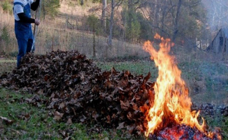 Amenda pe care o riscă românii care dau foc la resturile de vegetație