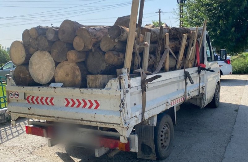 Amenzi usturătoare și lemn confiscat, în urma unui control