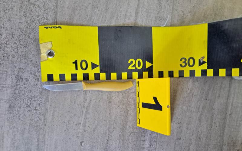 Adolescenți amendați după ce au intrat cu un cuțit de 16cm într-un liceu din Dorohoi