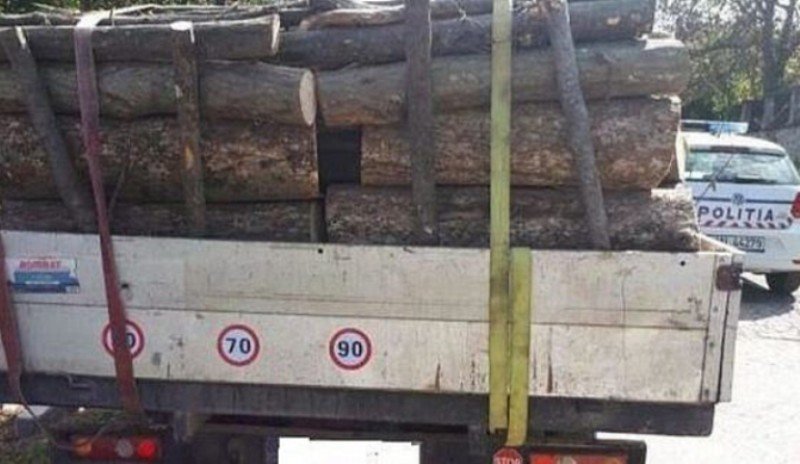 Sancțiune de 2.000 de lei și material lemnos confiscat