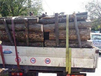 Material lemnos fără documente legale …