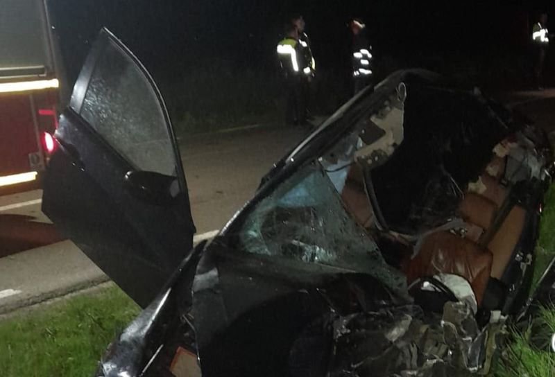 Accident grav între Flămânzi și Prăjeni! Șoferul unui autoturism a decedat după impactul cu o căruță