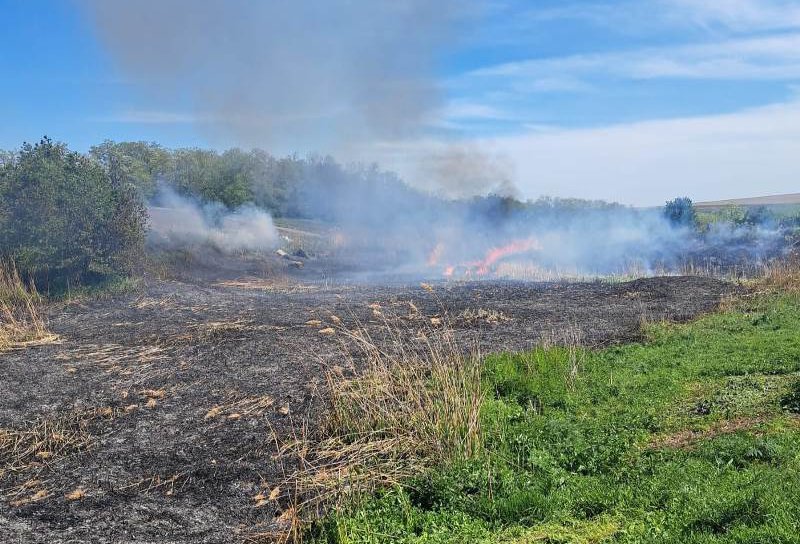 Pompierii au intervenit la stingerea a trei incendii de vegetație uscată în ultimele 24 de ore