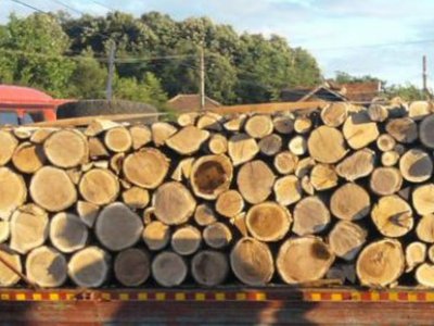 Material lemnos fără documente confiscat …