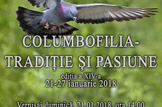 afis-columbofilia-traditie-si-pasiune_20180117.jpg