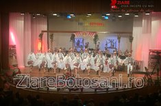 spectacol-hai-la-botosani_55_20180125.jpeg