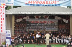 mugurelul-26_20180617.JPG