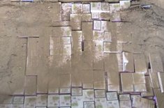 tigari3_20151118.jpg