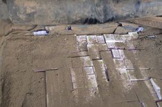 tigari4_20151118.jpg
