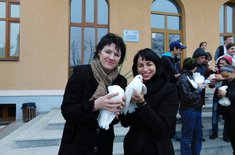 porumbei-3_20181120.JPG