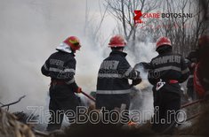 incendiu-la-dumeni_06_20190221.JPG