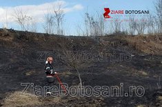 incendii-judet_02_20190309.jpeg