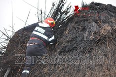 incendiu-hulubesti-pomarla_11_20190322.JPG