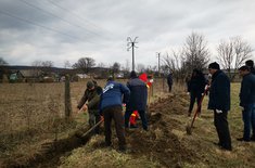 plantare-vfcampului_11_20190327.jpg