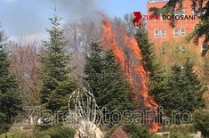 incendiu-la-dorohoi_03_20190407.jpeg